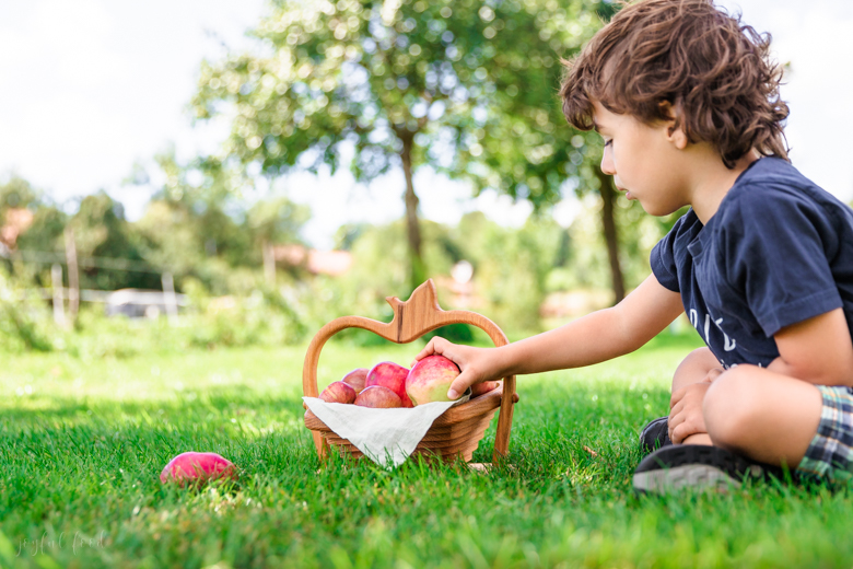 Streuobstwiese Streuobst